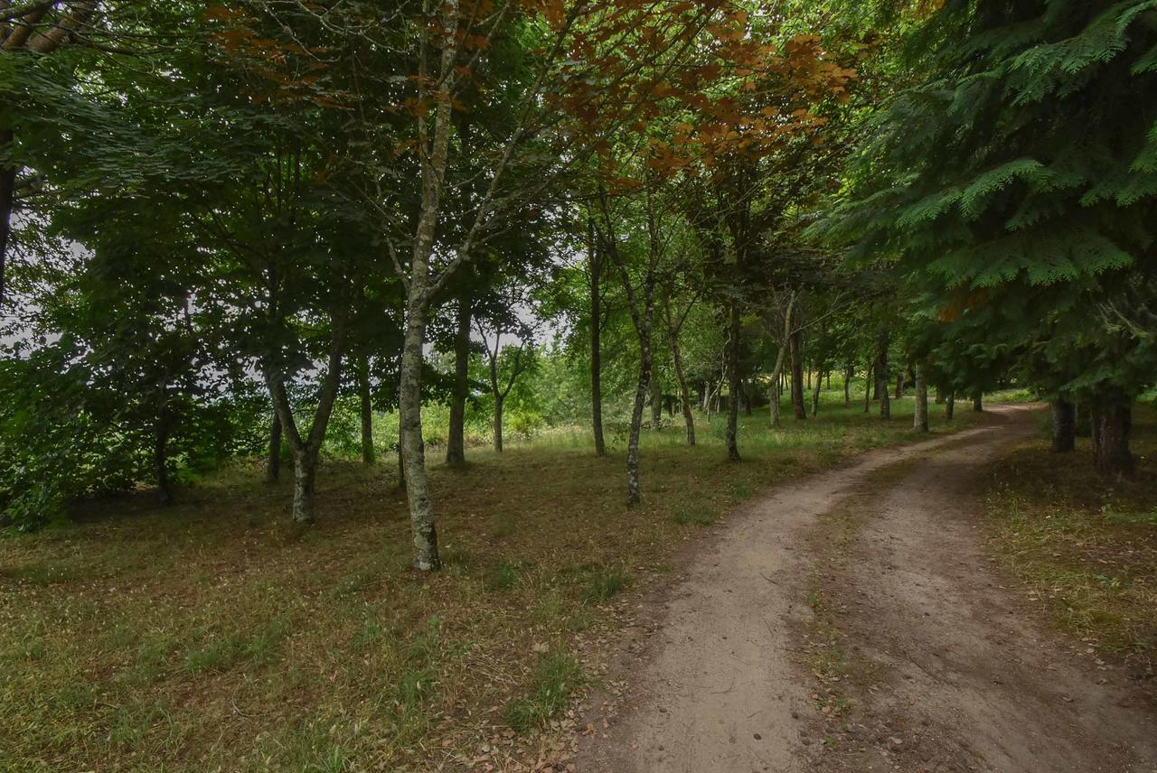 Quinta De Abol De Baixo Gasthuis *