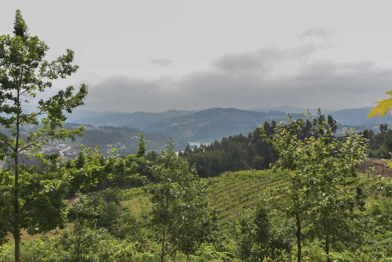 Quinta De Abol De Baixo * Entre-os-Rios